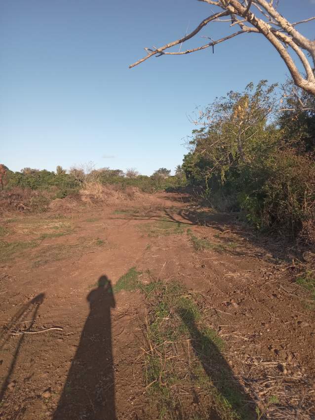 Terrain a vendre - 0 - Land  on Aster Vender