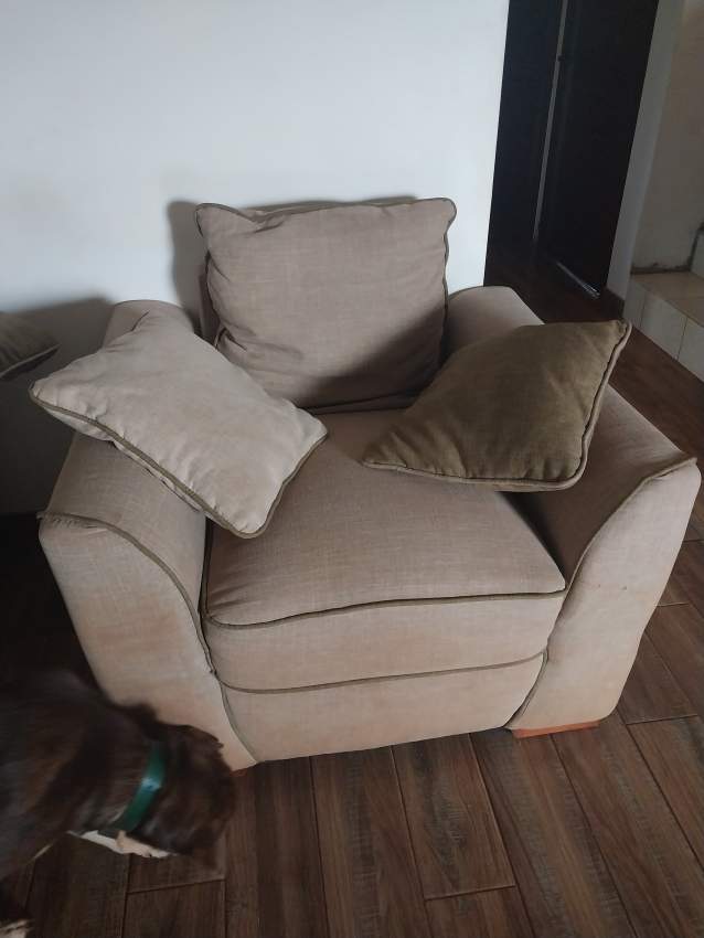 Canapés en tissue on Aster Vender