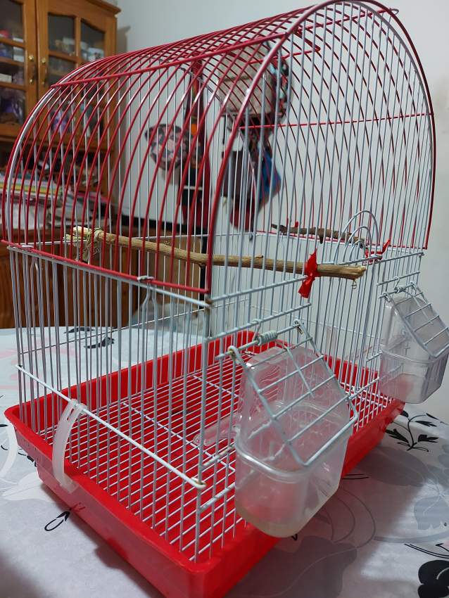 Small bird cage - 0 - Pets supplies & accessories  on Aster Vender