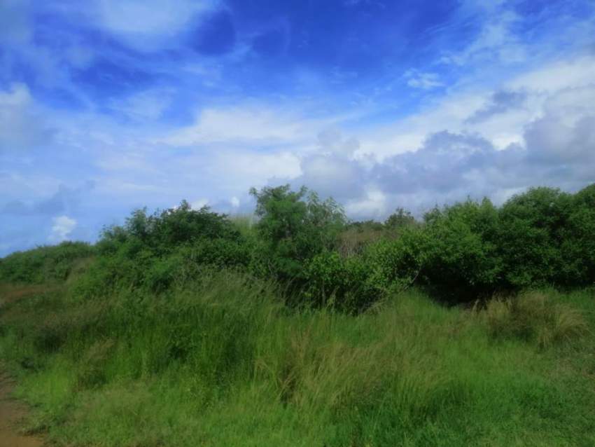 AGRICULTURAL LAND 1 Acre, Goodlands near VIP mall and Super U - 2 - Land  on Aster Vender