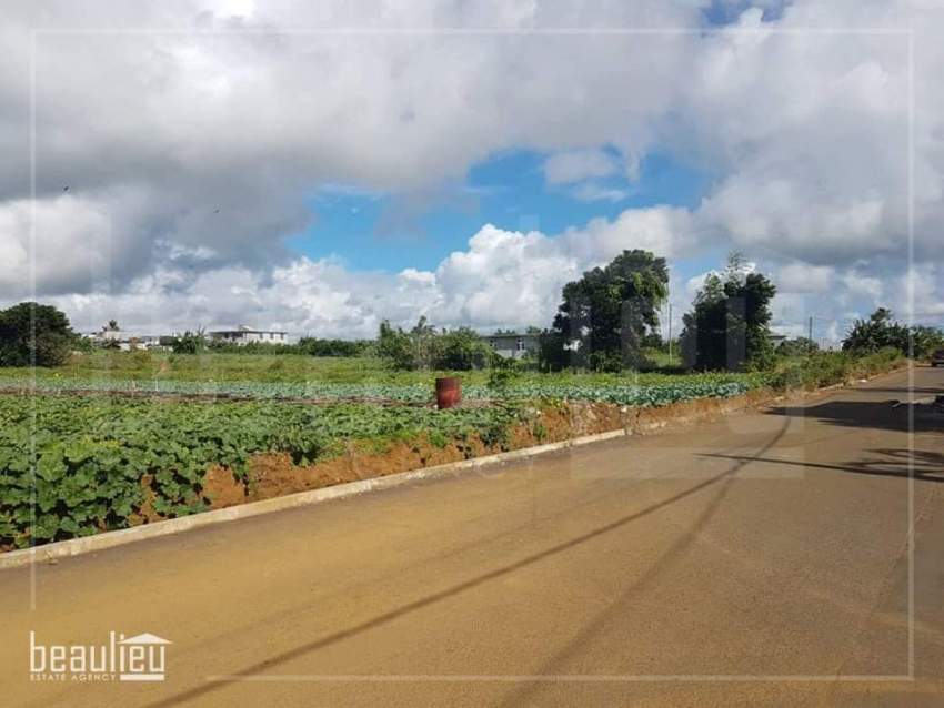 Agricultural land of 50 Perches in St Pierre - 2 - Land  on Aster Vender