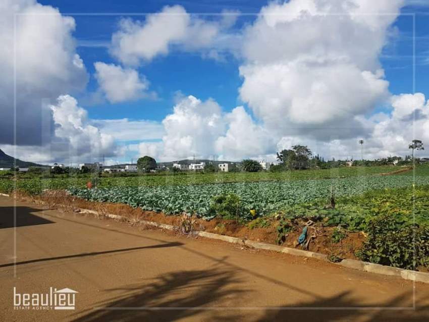 Agricultural land of 50 Perches in St Pierre - 7 - Land  on Aster Vender