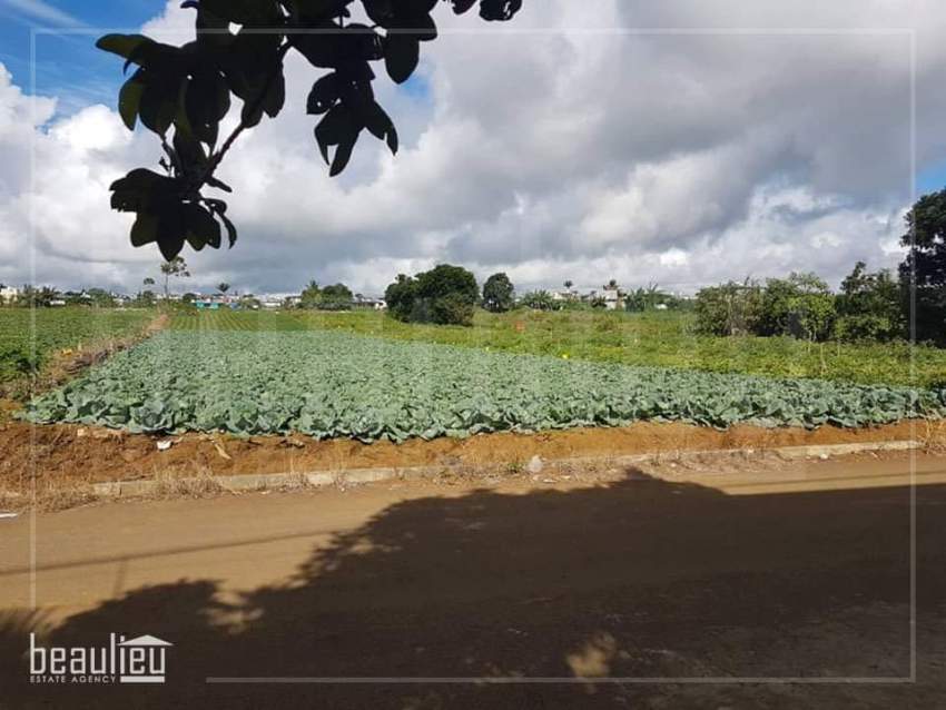 Agricultural land of 50 Perches in St Pierre - 4 - Land  on Aster Vender