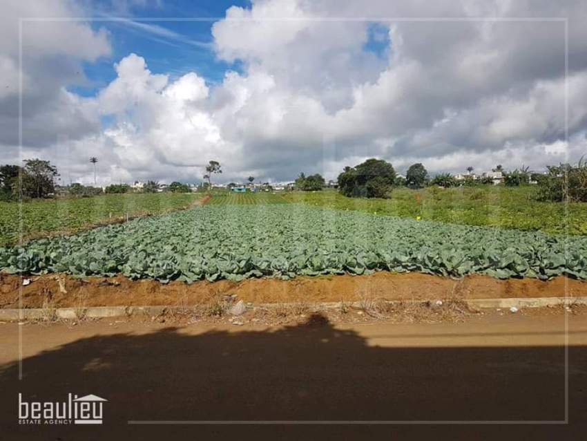 Agricultural land of 50 Perches in St Pierre - 6 - Land  on Aster Vender