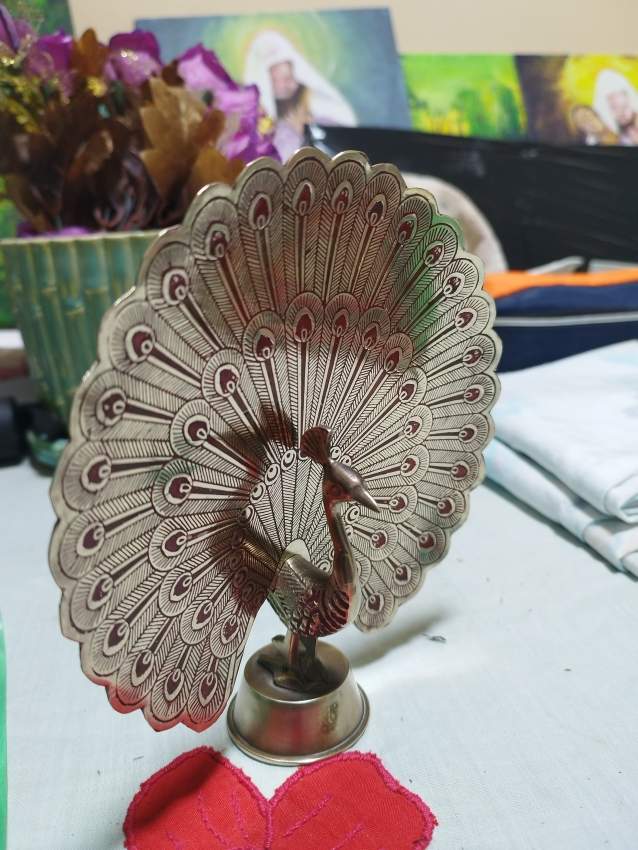 Peacock - 0 - Old stuff  on Aster Vender