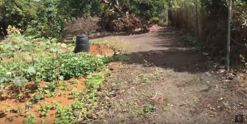 Land + house/store - 25 Perches - 1.5M Neg - Riv des Anguilles on Aster Vender