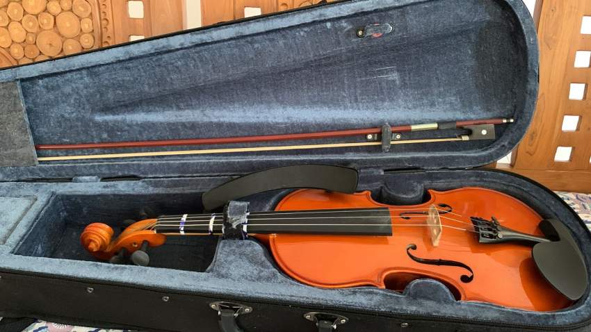 Violin Valencia solid carved - 3 - Violin  on Aster Vender