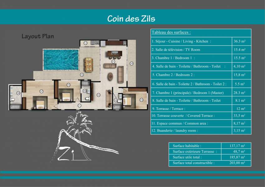 Coin Des Zils (Mont Mascal, Petit Raffray) - 3 - Villas  on Aster Vender