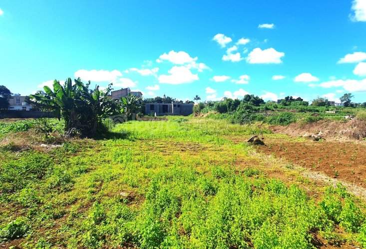 10 PERCHES IN CARREAU LALIANE - 0 - Land  on Aster Vender