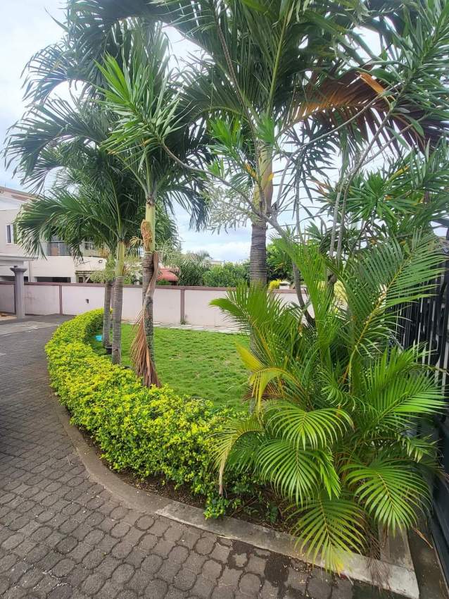 House / Villa - 4 Bedrooms - 325 m² - 6 - House  on Aster Vender