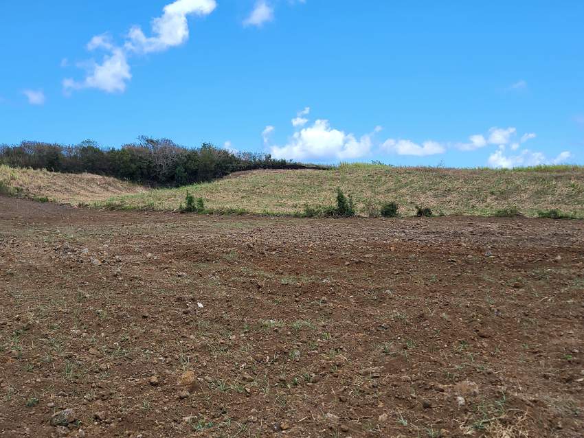 Residential land Mont Mascal - 1 - Land  on Aster Vender