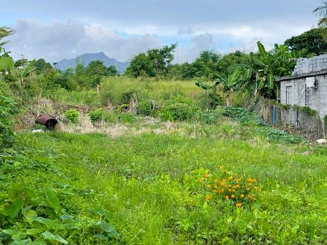 LAND FOR SALE IN BOIS PIGNOLET - 1 - Land  on Aster Vender