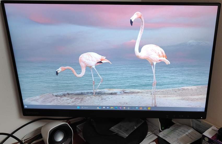 LENOVO - D27-30 MONITOR 27