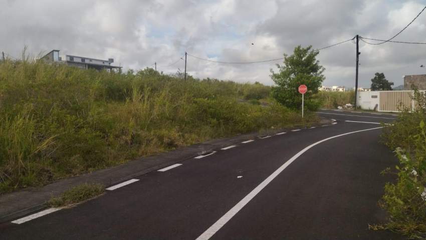 Terrain a vendre a morcellement of Fairview at Mare d'Albert - 1 - Land  on Aster Vender