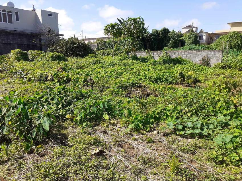 7 perches at Camp Fouquereaux ( near Motorway) - 0 - Land  on Aster Vender