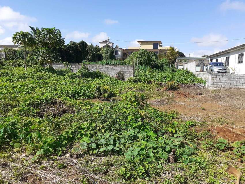 7 perches at Camp Fouquereaux ( near Motorway) - 2 - Land  on Aster Vender