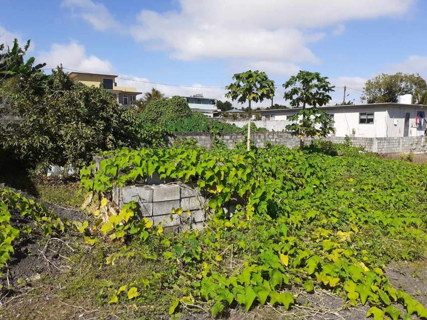 7 perches at Camp Fouquereaux ( near Motorway) - 1 - Land  on Aster Vender