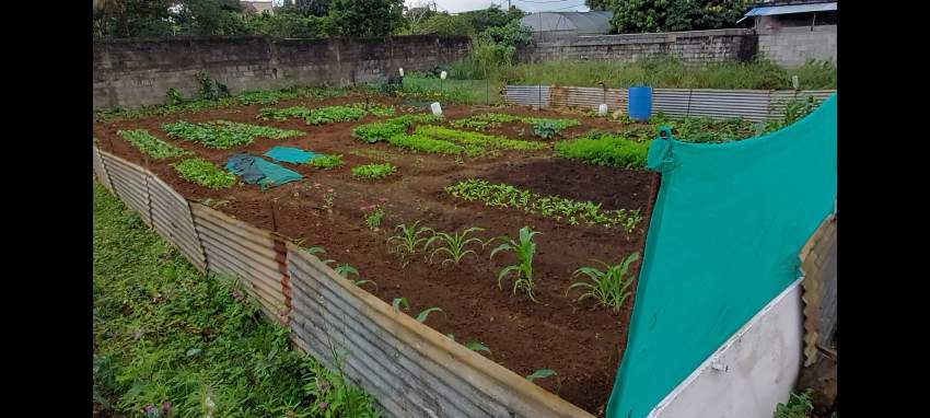 Land for sale at camp de masque - 1 - Land  on Aster Vender