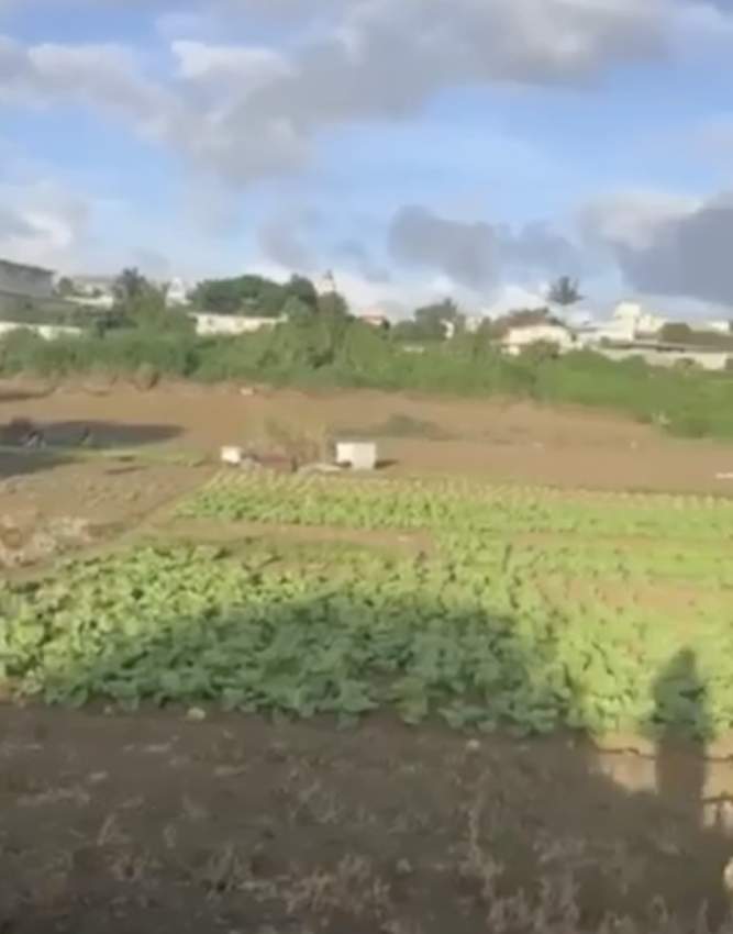 Land for sale in Carreau Laliane Vacoas Phoenix - 0 - Land  on Aster Vender