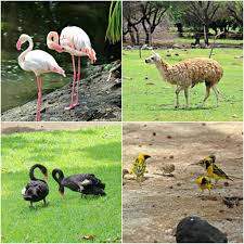 13 PERCHES IN CASCAVELLE WITH BEAUTIFUL VIEWS on Aster Vender