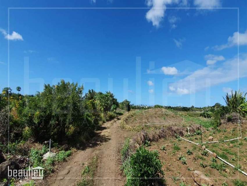 Agricultural land of 50 perches is for sale in Poste De Flacq - 2 - Land  on Aster Vender