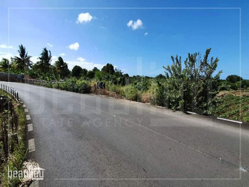 Agricultural land of 50 perches is for sale in Poste De Flacq - 3 - Land  on Aster Vender