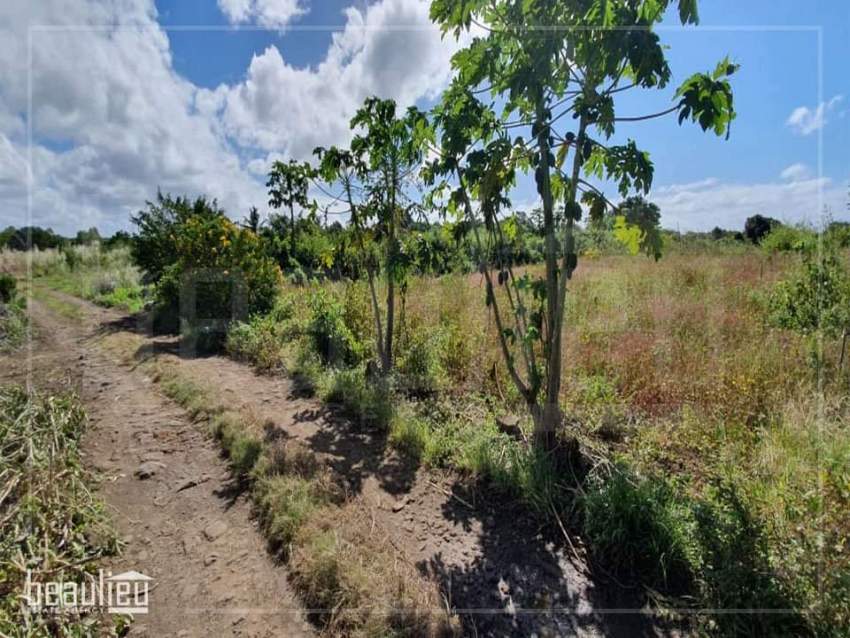 Agricultural land of 50 perches is for sale in Poste De Flacq - 0 - Land  on Aster Vender