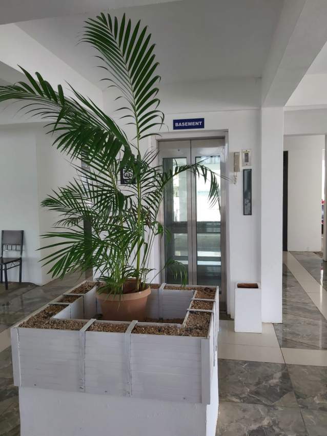 Apartments for Sale at Flic en Flac - 1 - Apartments  on Aster Vender