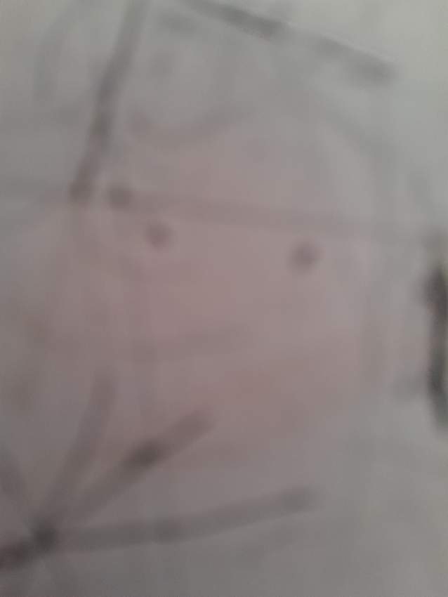 Land - 0 - Land  on Aster Vender