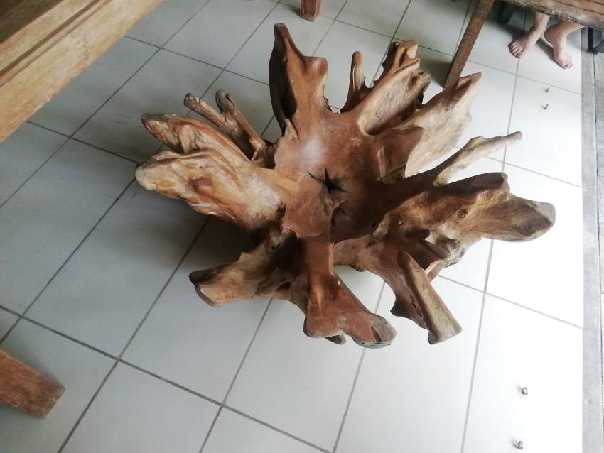 Root table without glass - 4 - Tables  on Aster Vender