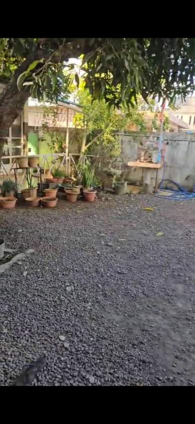 House and land for sale in Beau Bassin - 6 - House  on Aster Vender