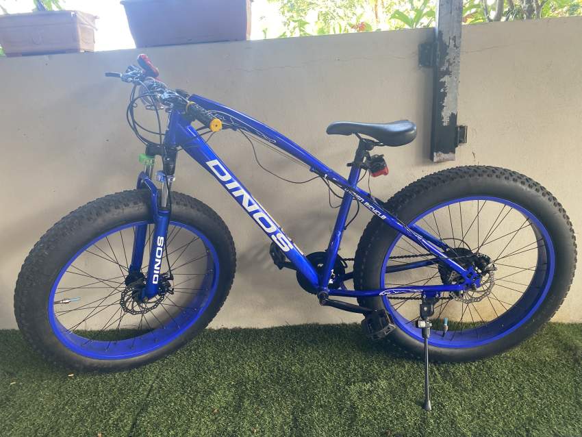 Dinos fat bike on Aster Vender