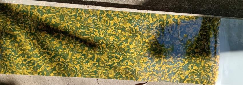 Gold Wrapping - 1 - All Informatics Products  on Aster Vender