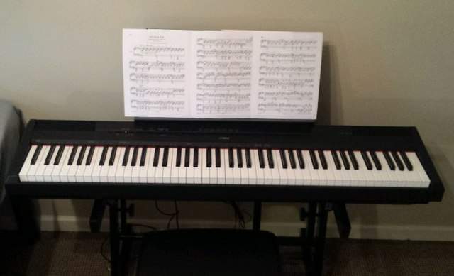 Yamaha P115- Black on Aster Vender