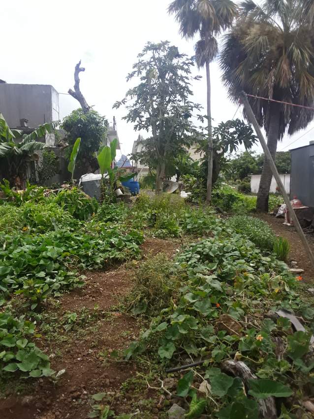 2 lots 11 PERCHES IN SOLFERINO VACOAS on Aster Vender