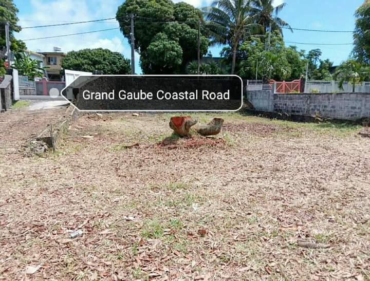 Land with house - 3 - House  on Aster Vender