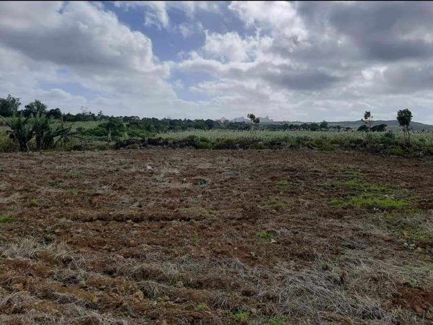 Industrial land at L'Esperance Moka - 0 - Land  on Aster Vender