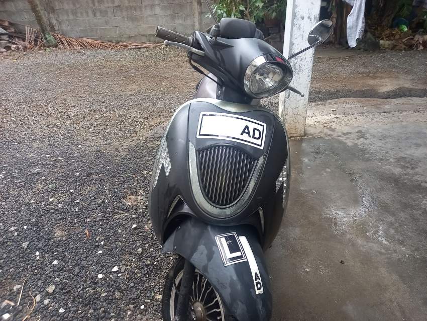 WYS VETERANO on Aster Vender