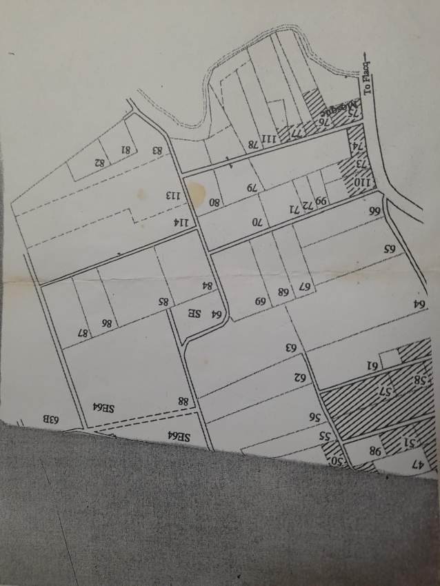 Agricultural land for lease under sugarcane plantation at Pont Praslin - 0 - Land  on Aster Vender