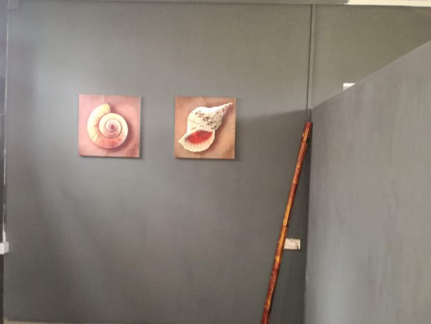 New House for sale - 8 - House  on Aster Vender