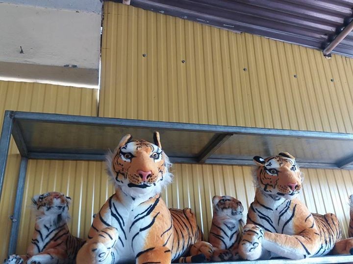 Peluche for sale - 2 - Other Indoor Sports & Games  on Aster Vender