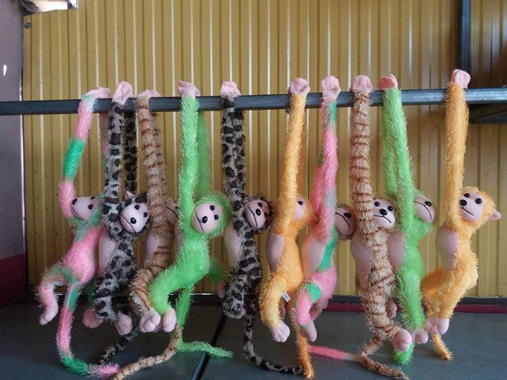 Peluche for sale - 3 - Other Indoor Sports & Games  on Aster Vender