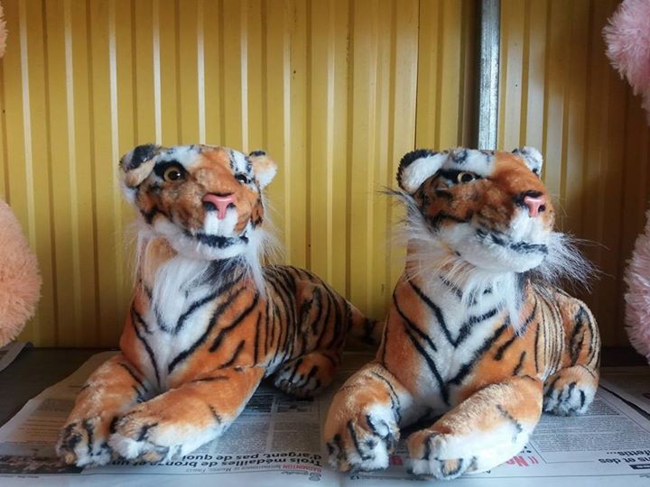 Peluche for sale - 1 - Other Indoor Sports & Games  on Aster Vender