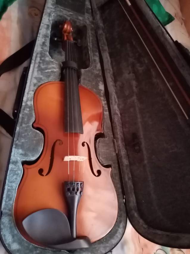 Violin-Valencia  - 1 - Violin  on Aster Vender