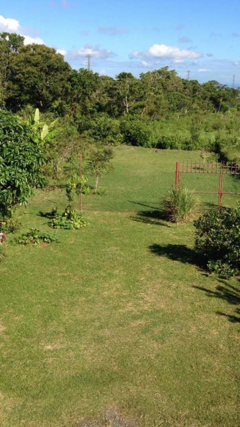 Terrain à curepipe à vendre 12 perche contact 59730109 - 1 - Land  on Aster Vender