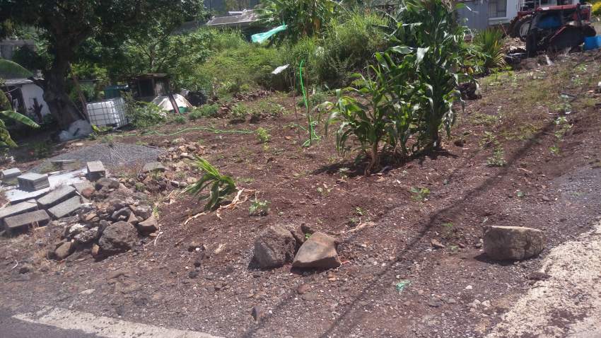 Residential Land - 0 - Land  on Aster Vender