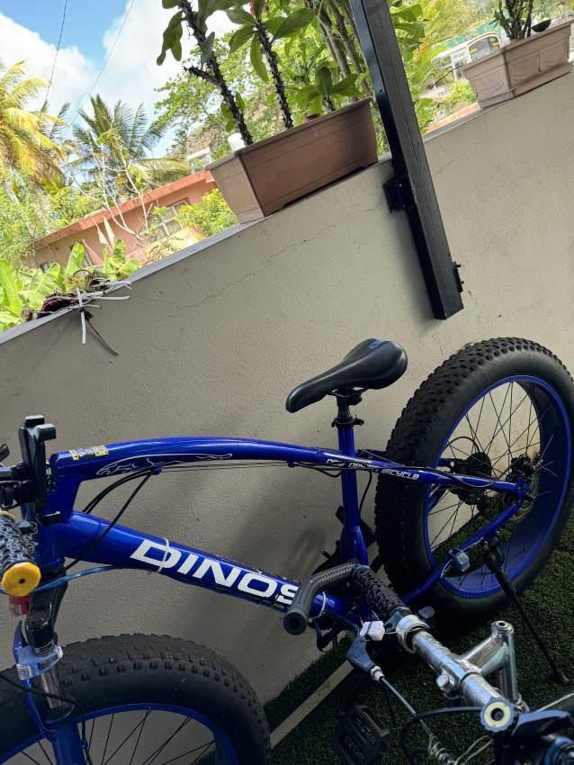 Fat bike - 1 - Road bicycles  on Aster Vender