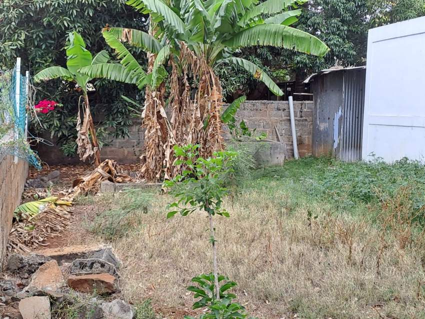 A vendre maison à rénover - 3 - House  on Aster Vender