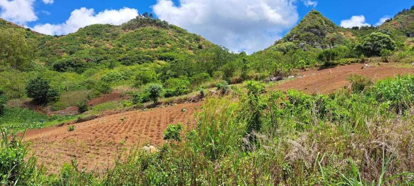 2 arpent of agricultural land - 0 - Land  on Aster Vender