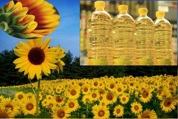 Exporters Of Sunflower Oil | Buy Sunflower Oil online - 2 - Fruits and Vegetables  on Aster Vender